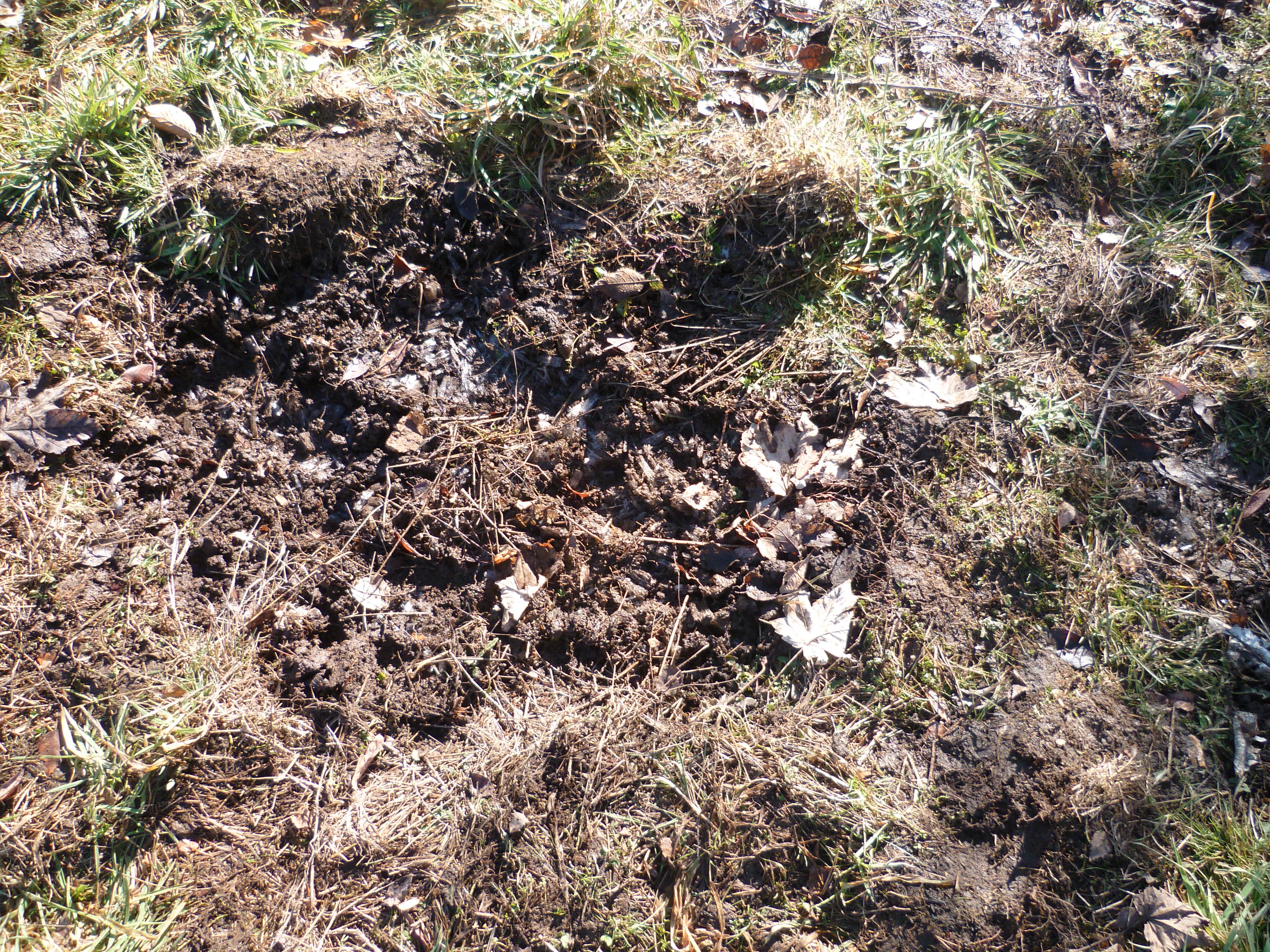 P1020751.JPG